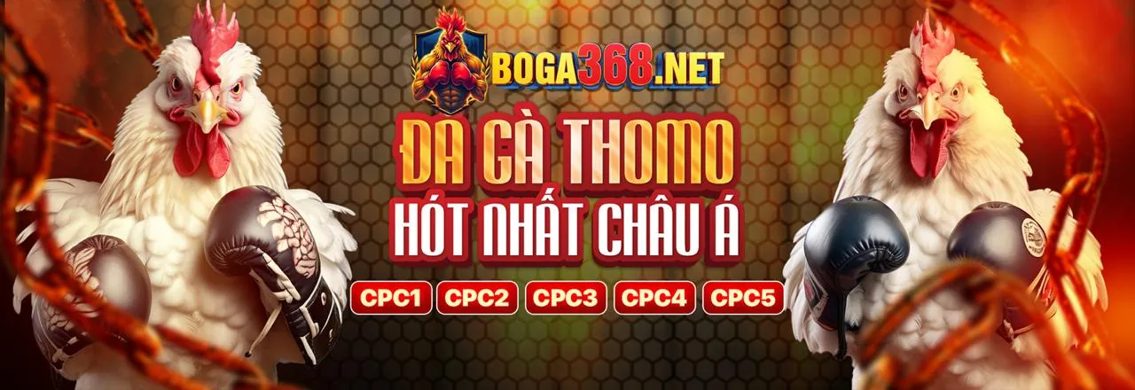 King 789 Tin Tức Mới Nhất
